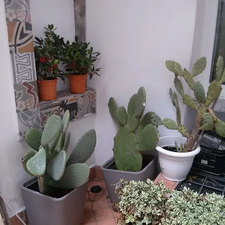 Petrucci Garden Napoli