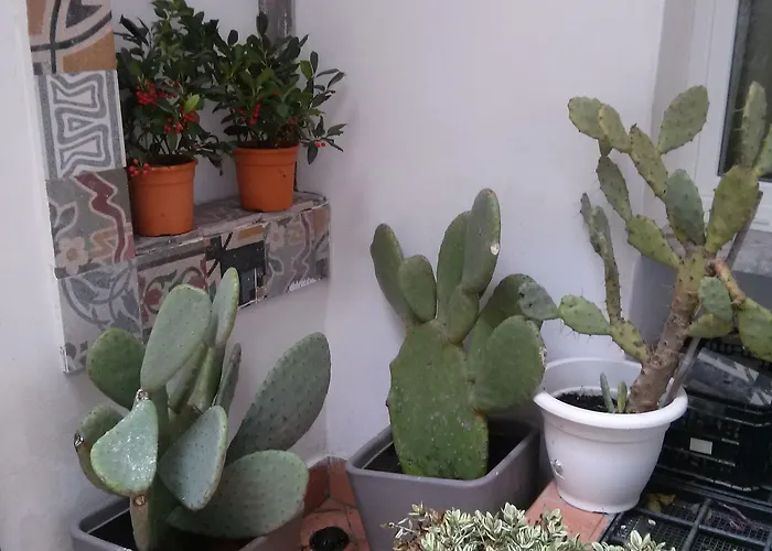 Petrucci Garden Неаполь